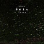 新北平溪｜菁桐車站半日遊，石底大斜坑廢墟＋夜間賞螢火蟲
