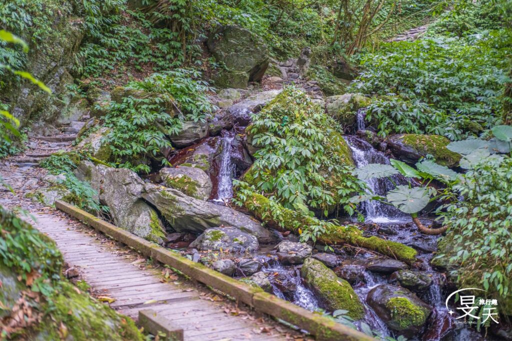 聖母登山步道 聖母登山步道