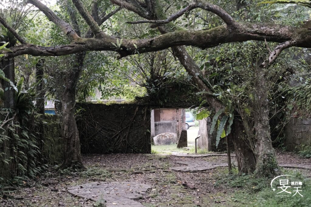 石底大斜坑;螢火蟲熱門出沒點 石底大斜坑;螢火蟲熱門出沒點