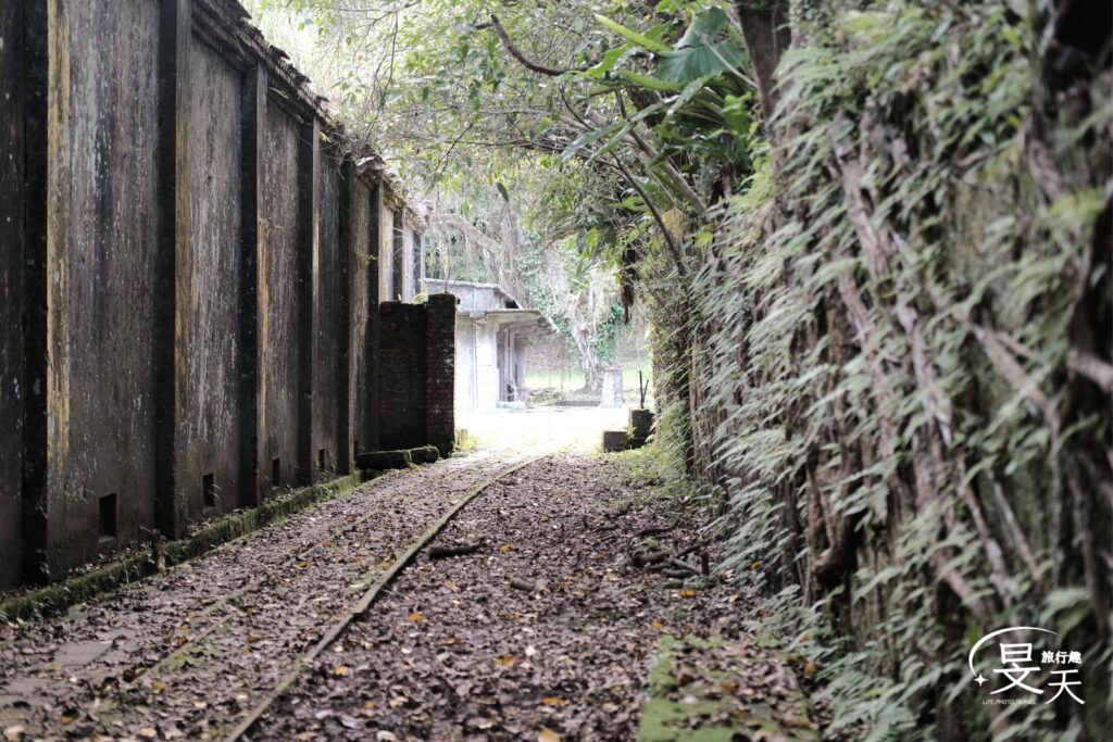 石底大斜坑;螢火蟲熱門出沒點 石底大斜坑;螢火蟲熱門出沒點