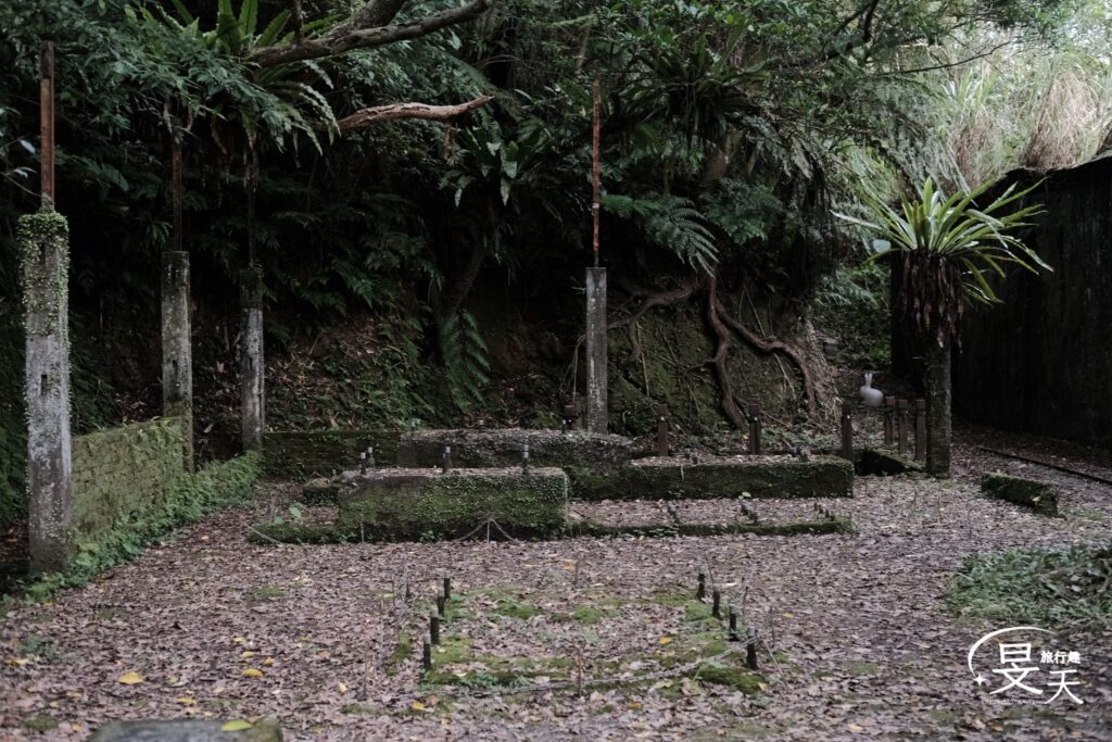 石底大斜坑;螢火蟲熱門出沒點 石底大斜坑;螢火蟲熱門出沒點