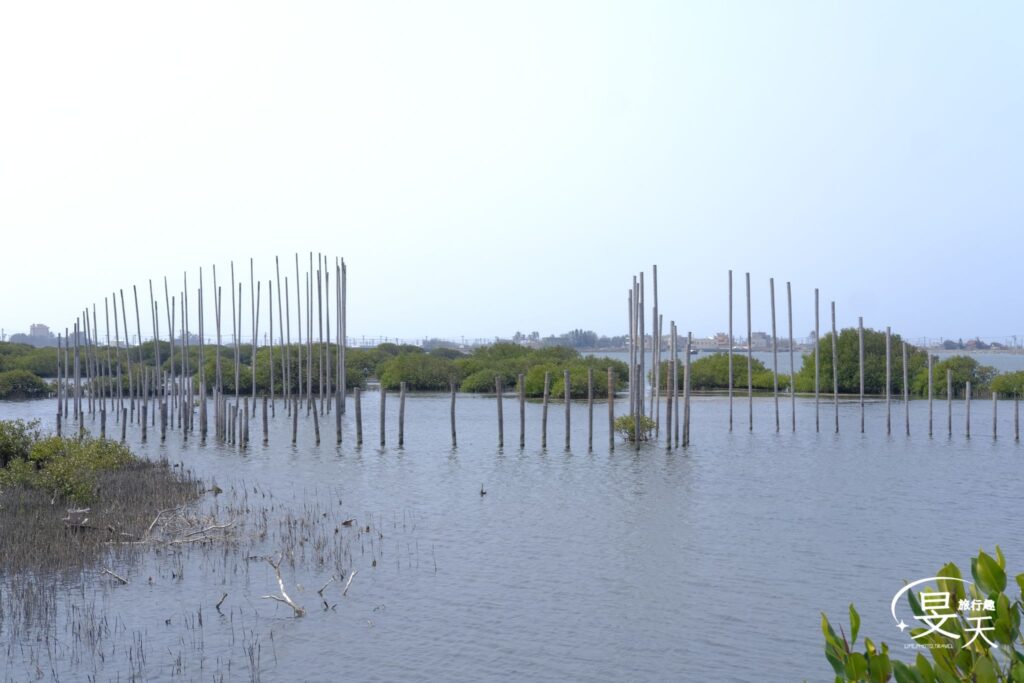 成龍溼地;藝術裝置 成龍溼地;藝術裝置