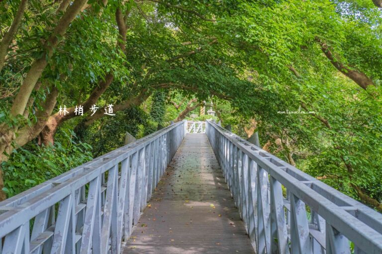 新北五股｜親子級林梢步道，免爬山也能親近自然，輕鬆漫步森林空中走廊