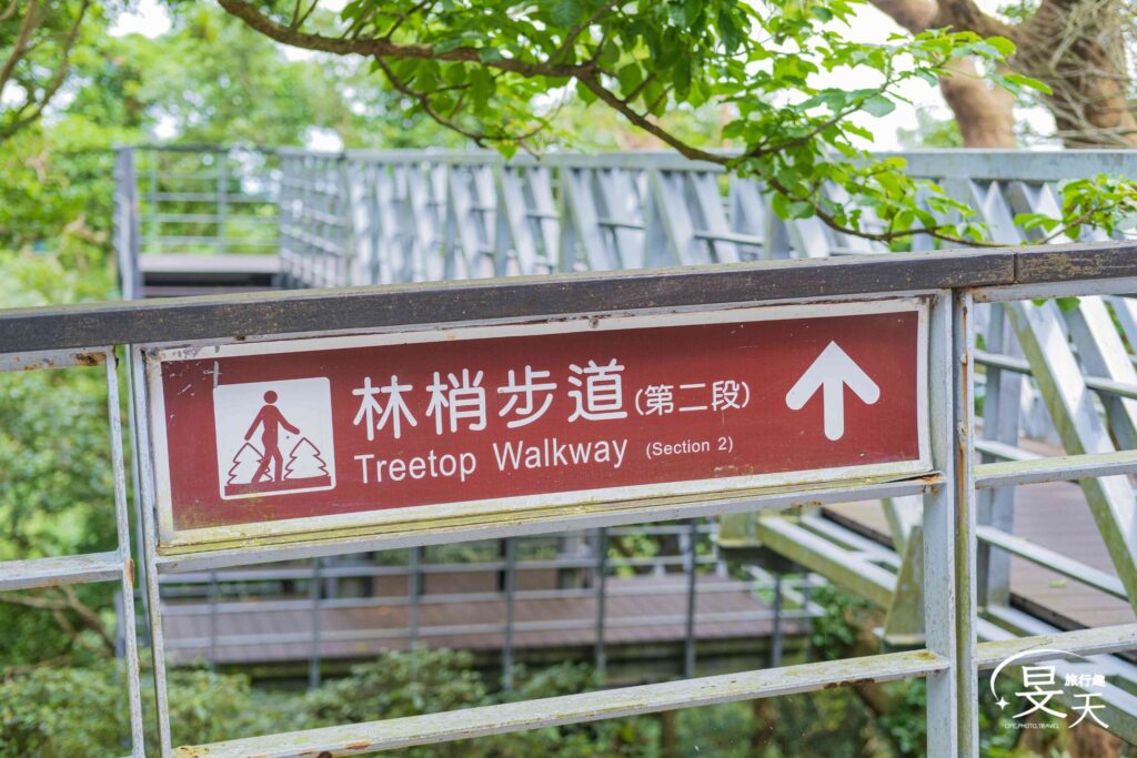 林梢步道;第二段 林梢步道;第二段