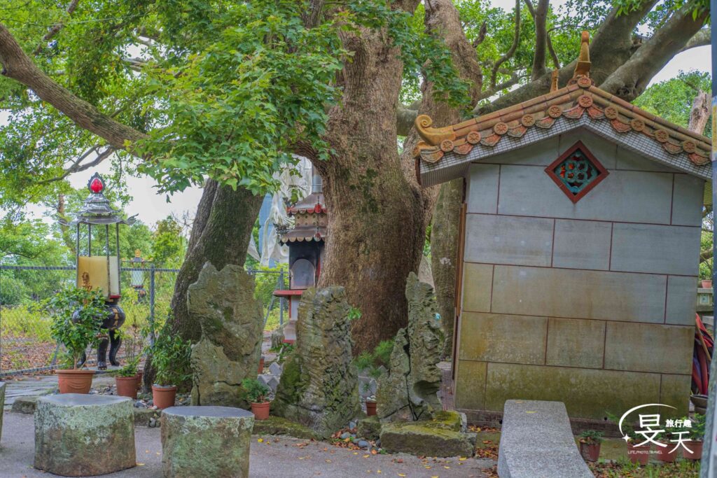 林梢步道;第二段終點 林梢步道;第二段終點
