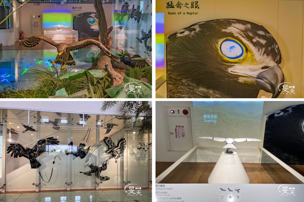 觀音山猛禽展示館 觀音山猛禽展示館