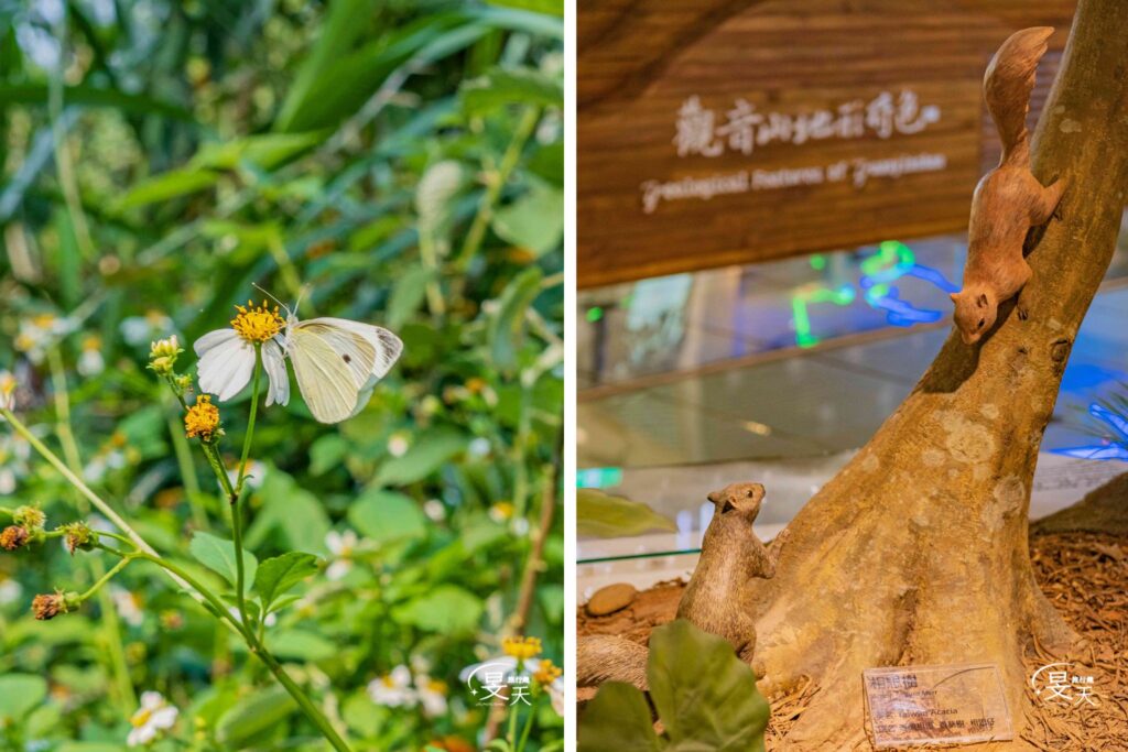 新北牛港稜步道|觀音山超好拍,生態豐富、輕鬆飽覽山海雙景的健行路線 新北牛港稜步道|觀音山超好拍,生態豐富、輕鬆飽覽山海雙景的健行路線