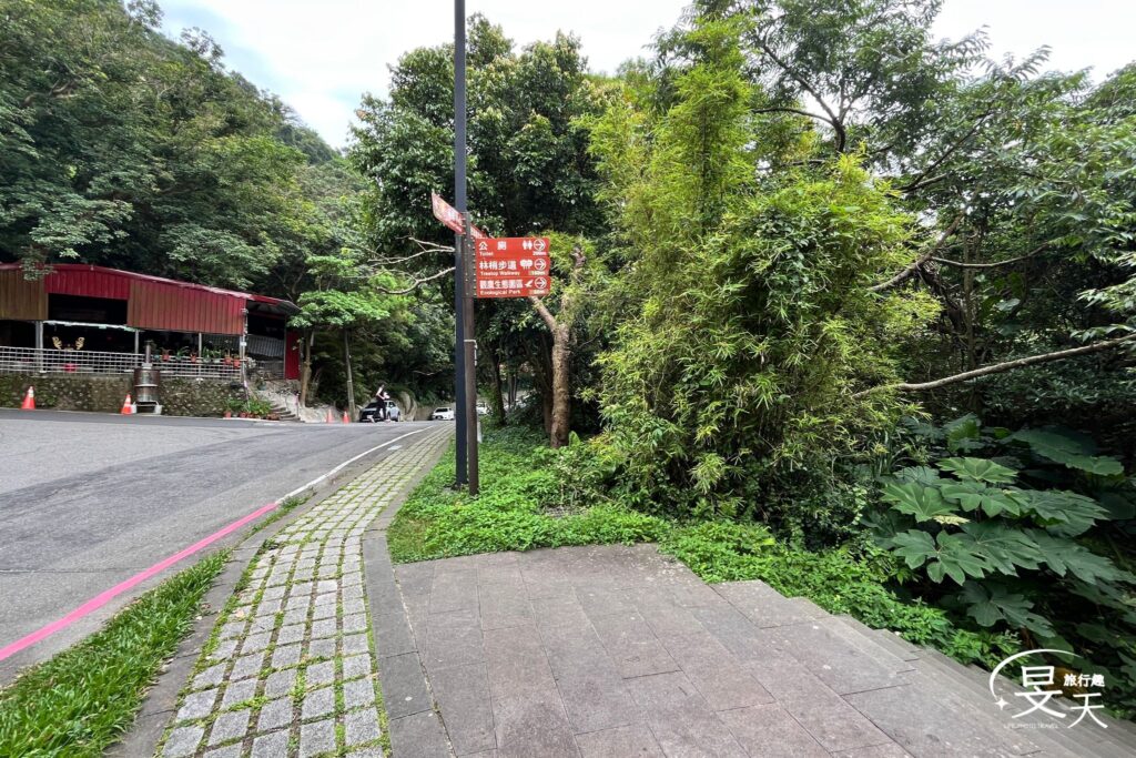 林梢步道;入口 林梢步道;入口