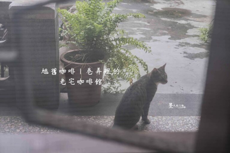 板橋旭舊咖啡廳|靜靜藏在巷弄裡的老宅,都市中的寧靜角落
