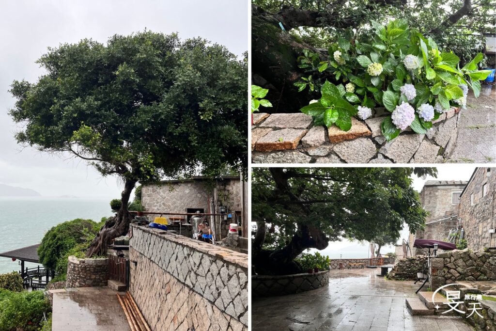 芹壁村;芹壁榕樹下民宿 芹壁村;芹壁榕樹下民宿