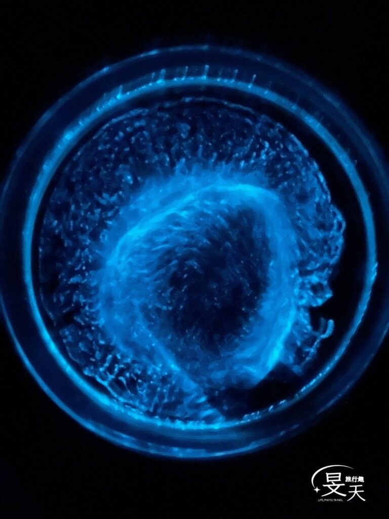 馬祖三天兩夜｜走進馬祖南竿，藍眼淚保證班&戰地人文景點一次玩透 