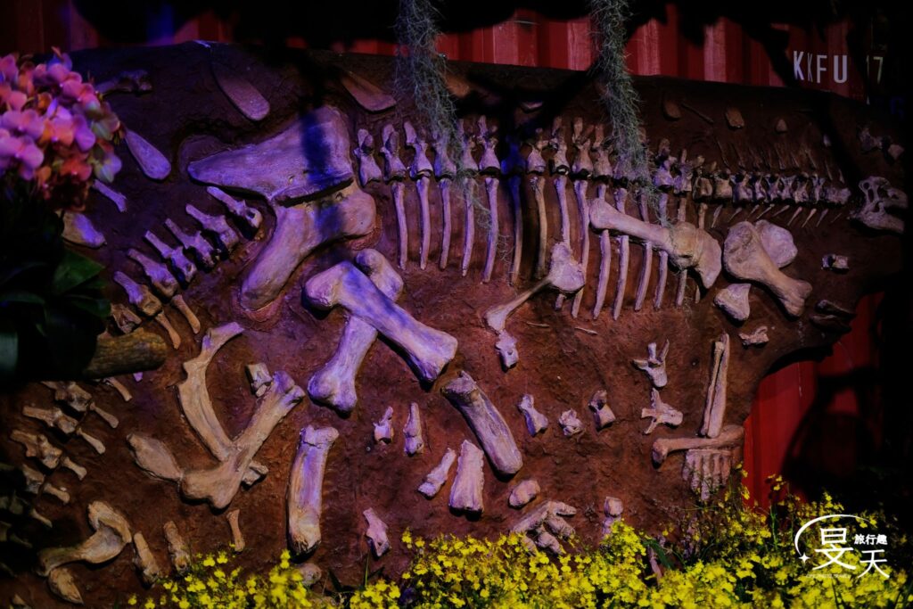 台灣國際蘭花展