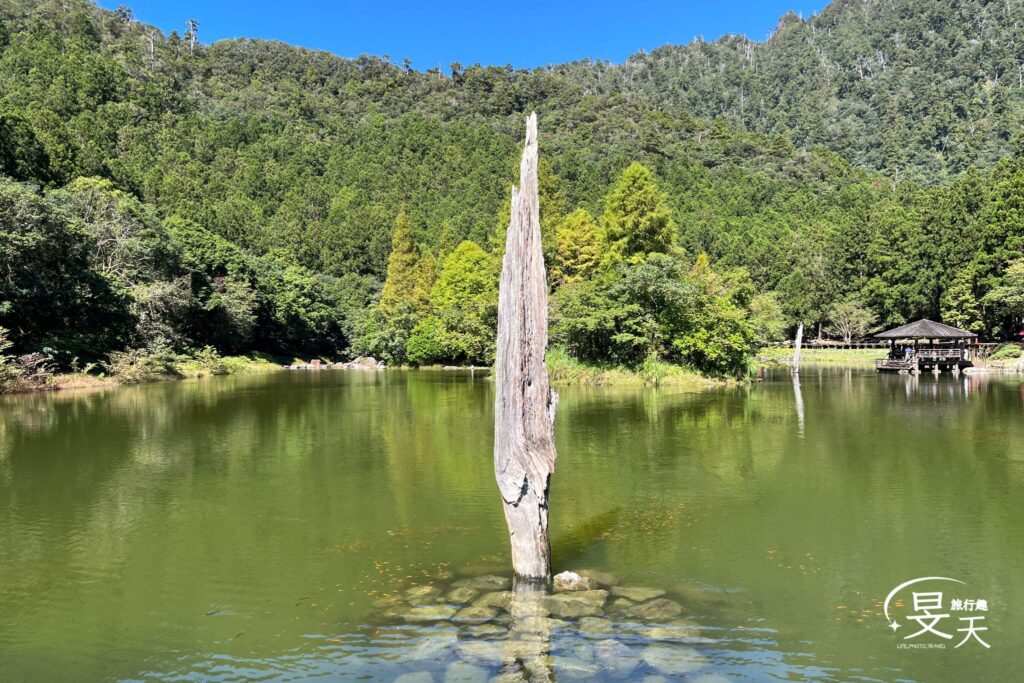 明池森林遊樂園區