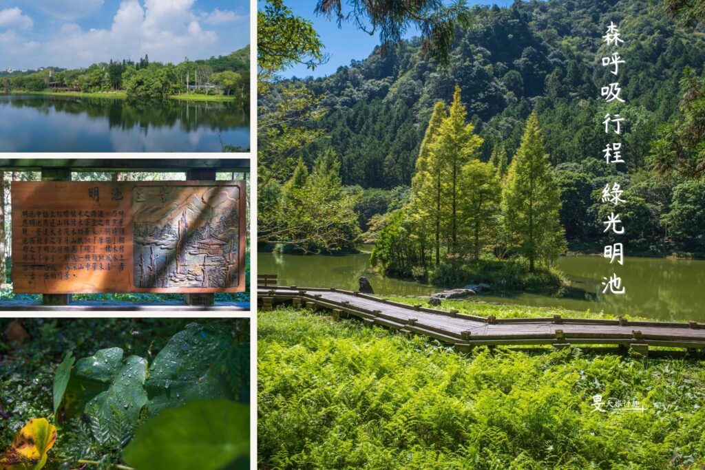 兩天一夜山林避暑！走遍寶山水庫、馬武督、明池森林遊樂區，入住拉拉山還有超甜水蜜桃汁！