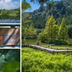 兩天一夜山林避暑！走遍寶山水庫、馬武督、明池森林遊樂區，入住拉拉山還有超甜水蜜桃汁！