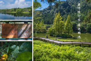 兩天一夜山林避暑！走遍寶山水庫、馬武督、明池森林遊樂區，入住拉拉山還有超甜水蜜桃汁！